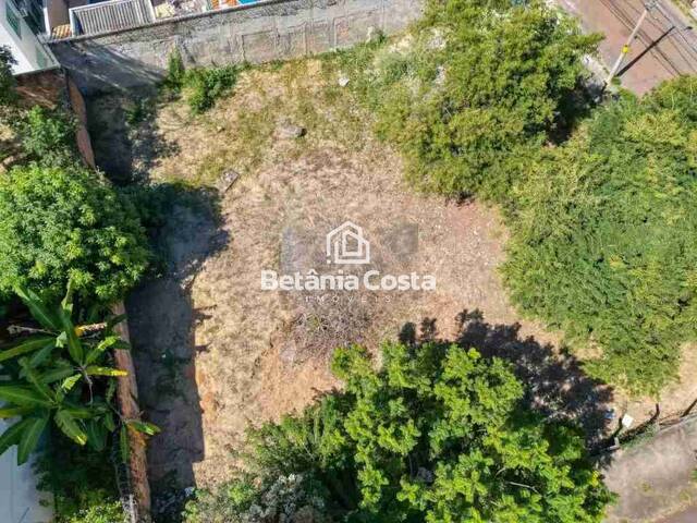 Terreno para Venda em Belo Horizonte - 4