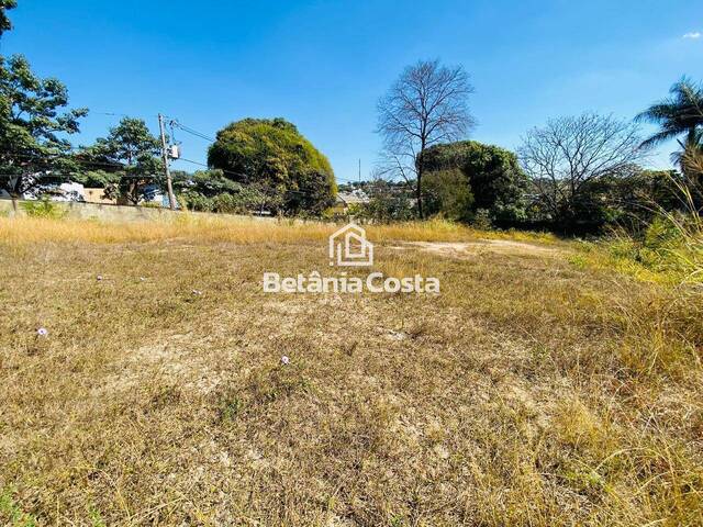 #22 - Lote para Venda em Belo Horizonte - MG - 3