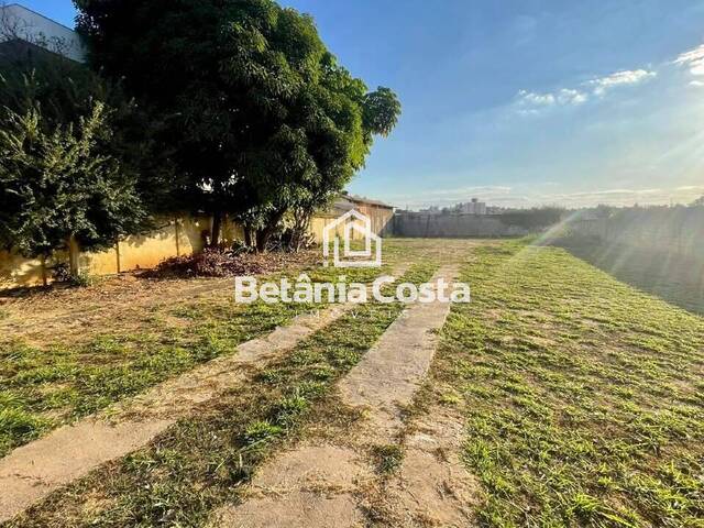 Lote para Venda em Belo Horizonte - 4