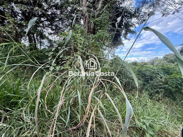 Área para Venda em Confins - 5